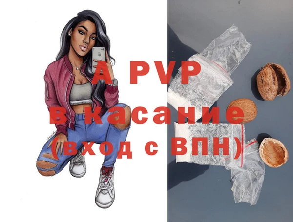 шишки Абинск